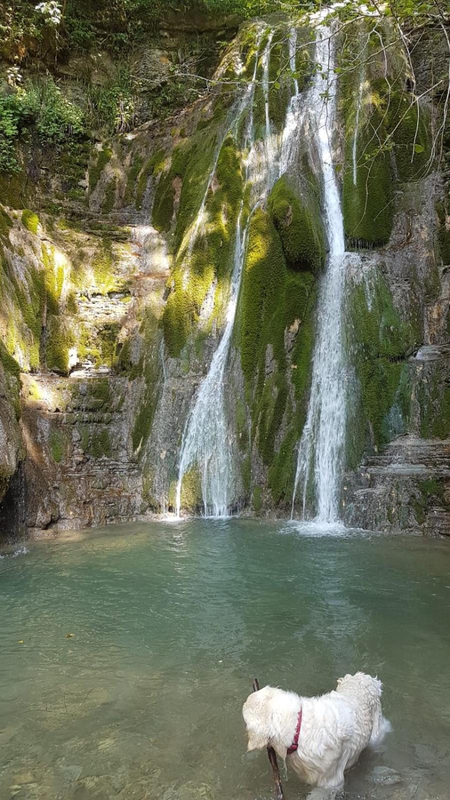 Alloggio Petrigh Canal di Grivo エクステリア 写真