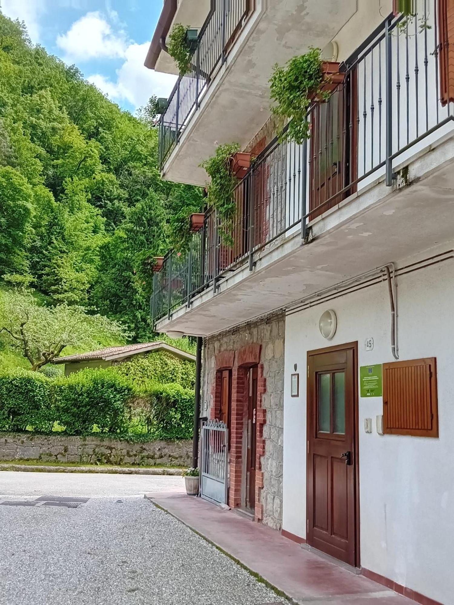Alloggio Petrigh Canal di Grivo エクステリア 写真