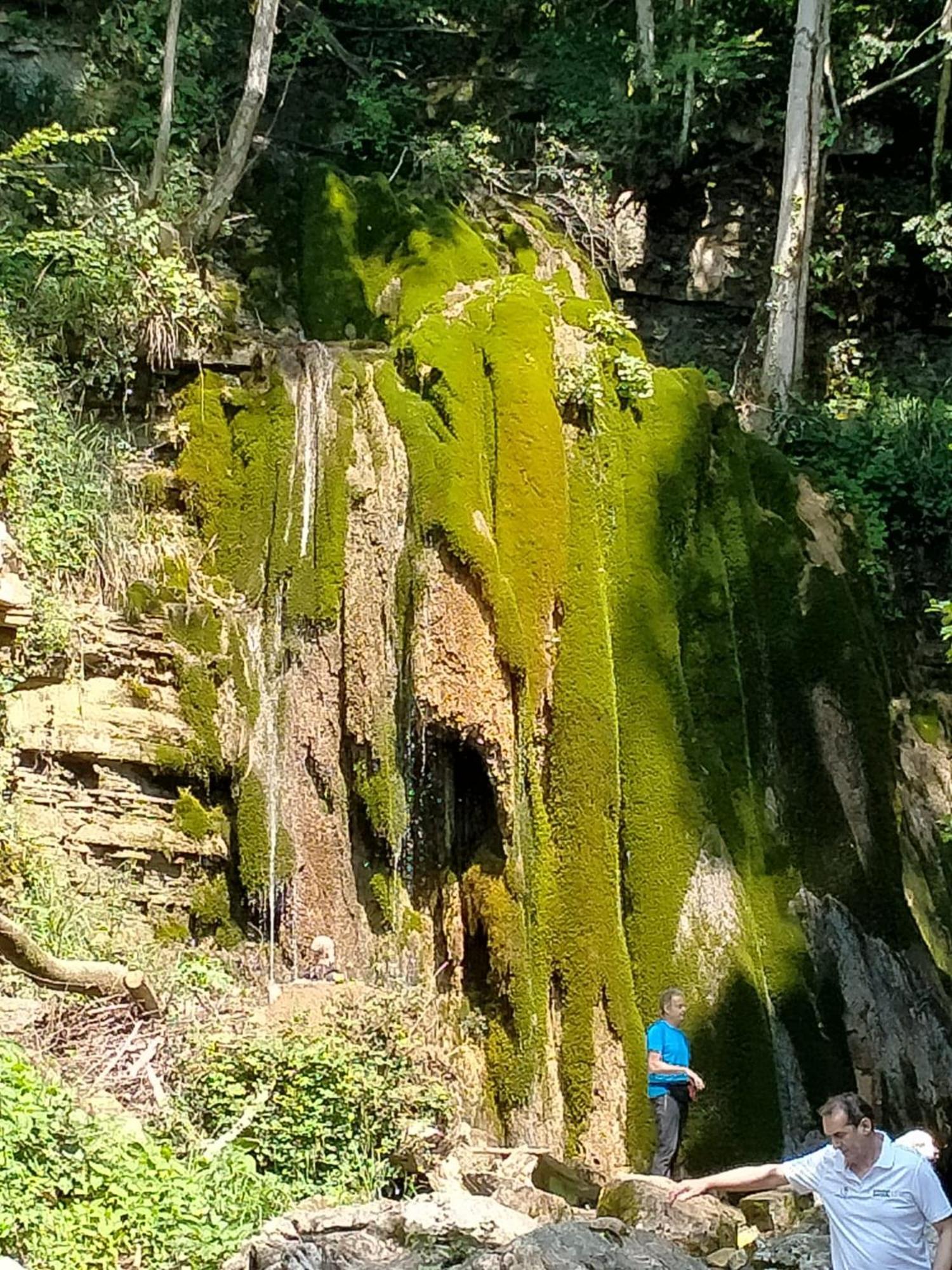 Alloggio Petrigh Canal di Grivo エクステリア 写真