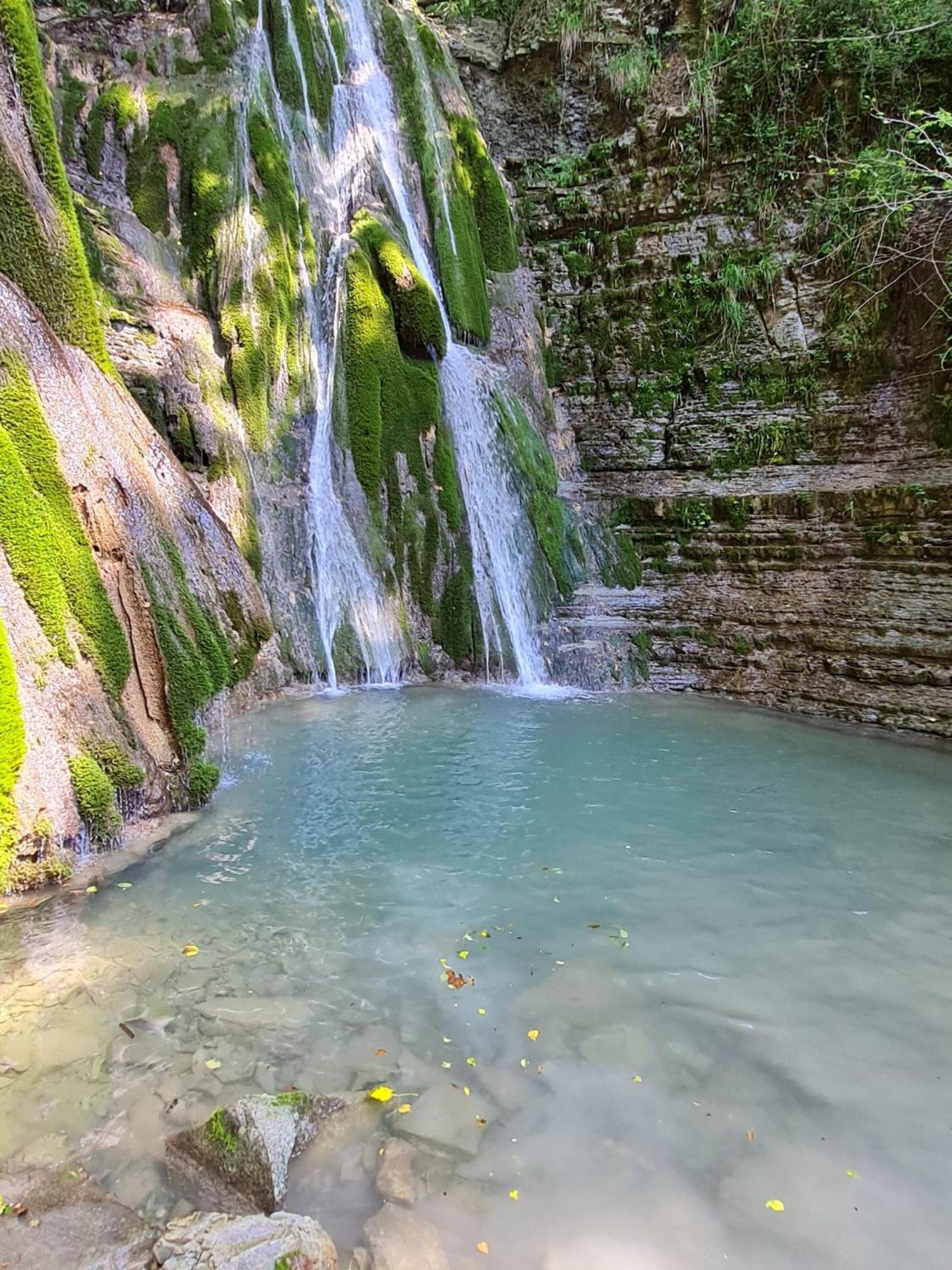 Alloggio Petrigh Canal di Grivo エクステリア 写真